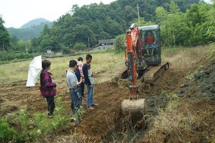 順昌縣農(nóng)業(yè)局水產(chǎn)技術(shù)推廣站深入仁壽鎮(zhèn)余塘村指導(dǎo)田間工程改造，助推稻田養(yǎng)魚項(xiàng)目發(fā)展