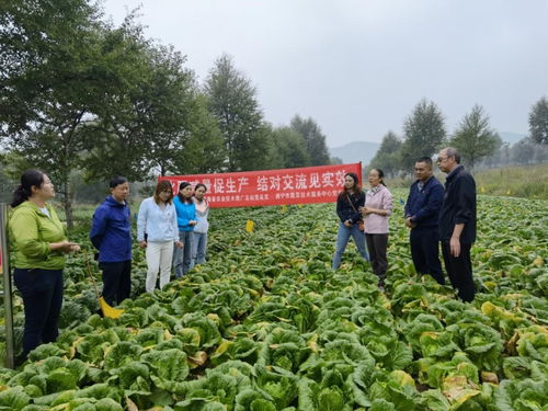 以試驗促進高效生產，以科技助力生態農業——省農業技術推廣總站的實踐與探索